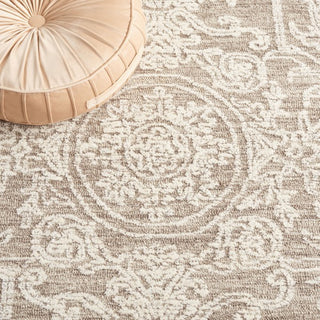 Safavieh Ebony EBN309 Ivory / Dark Grey Area Rug