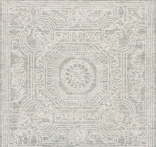 Safavieh Ebony EBN310 Ivory / Grey Area Rug Square