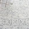 Safavieh Ebony EBN311 Ivory / Grey Area Rug