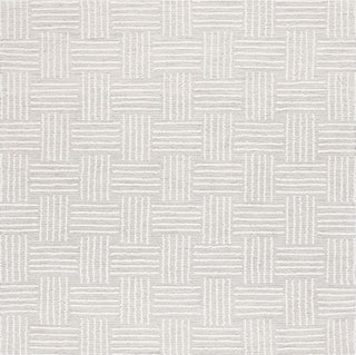 Safavieh Ebony EBN355 Light Grey / Ivory Area Rug