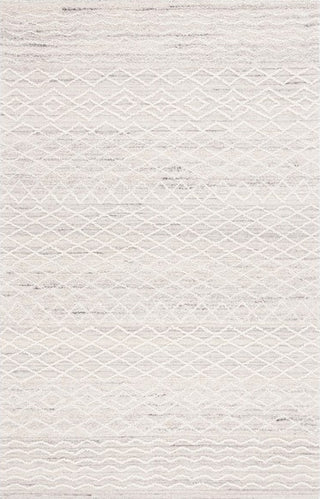 Safavieh Ebony EBN356 Light Grey / Ivory Area Rug