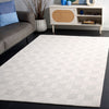 Safavieh Ebony EBN358 Light Grey / Ivory Area Rug