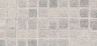 Safavieh Ebony EBN375F Grey Area Rug main image