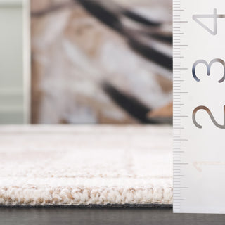 Safavieh Ebony EBN375T Ivory / Brown Area Rug Detail