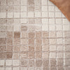 Safavieh Ebony EBN375T Ivory / Brown Area Rug Detail