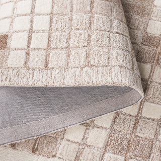 Safavieh Ebony EBN375T Ivory / Brown Area Rug Fold