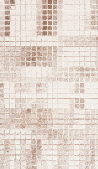 Safavieh Ebony EBN375T Ivory / Brown Area Rug Main