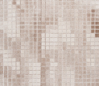 Safavieh Ebony EBN375T Ivory / Brown Area Rug Square