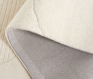 Safavieh Ebony EBN403A Ivory Area Rug Fold