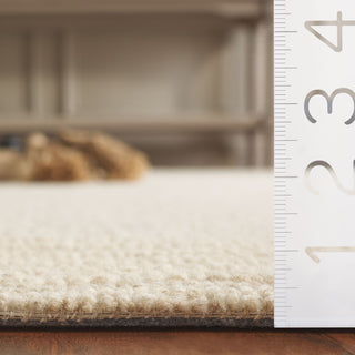 Safavieh Ebony EBN425A Ivory / Beige Area Rug Detail