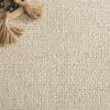 Safavieh Ebony EBN425A Ivory / Beige Area Rug Detail
