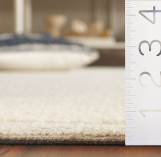 Safavieh Ebony EBN425F Grey / Ivory Area Rug Detail