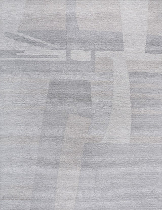 Safavieh Ebony EBN525F Grey / Beige Area Rug main image