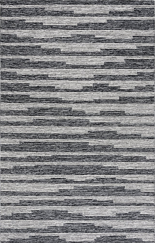 Safavieh Ebony EBN526Z Black / Ivory Area Rug main image