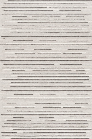 Safavieh Ebony EBN527F Grey / Black Area Rug Main