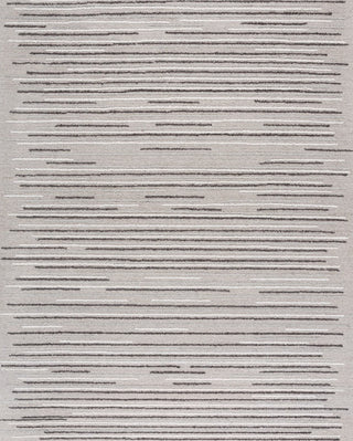 Safavieh Ebony EBN527F Grey / Black Area Rug main image