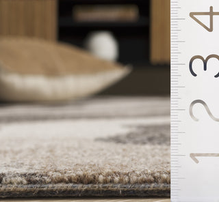 Safavieh Ebony EBN529F Grey / Ivory Area Rug Detail