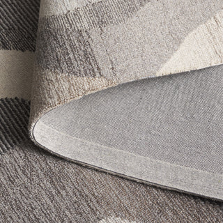 Safavieh Ebony EBN529F Grey / Ivory Area Rug Fold