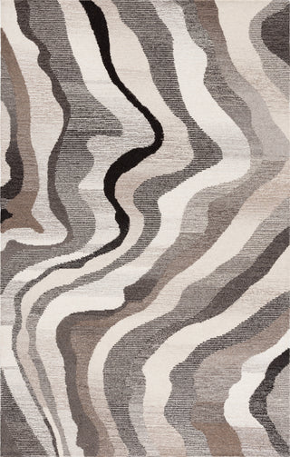 Safavieh Ebony EBN529F Grey / Ivory Area Rug Main