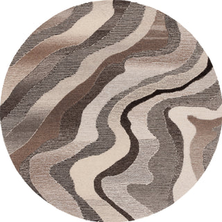 Safavieh Ebony EBN529F Grey / Ivory Area Rug Round