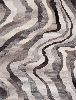 Safavieh Ebony EBN529F Grey / Ivory Area Rug main image