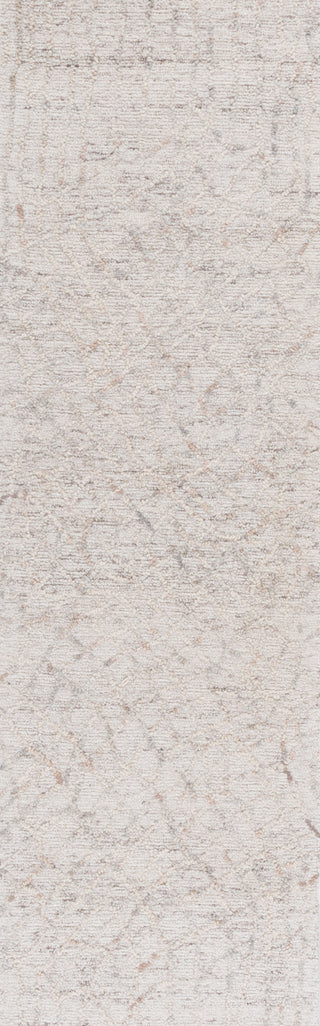 Safavieh Ebony EBN534B Beige / Grey Area Rug Runner