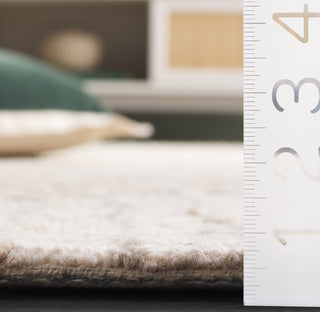 Safavieh Ebony EBN534B Beige / Grey Area Rug Detail