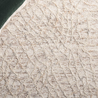 Safavieh Ebony EBN534B Beige / Grey Area Rug Detail