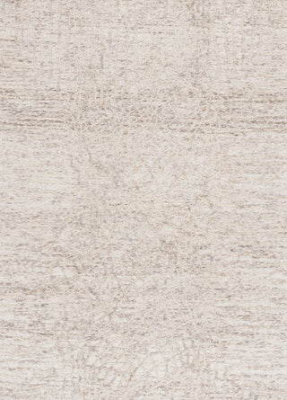 Safavieh Ebony EBN534B Beige / Grey Area Rug main image