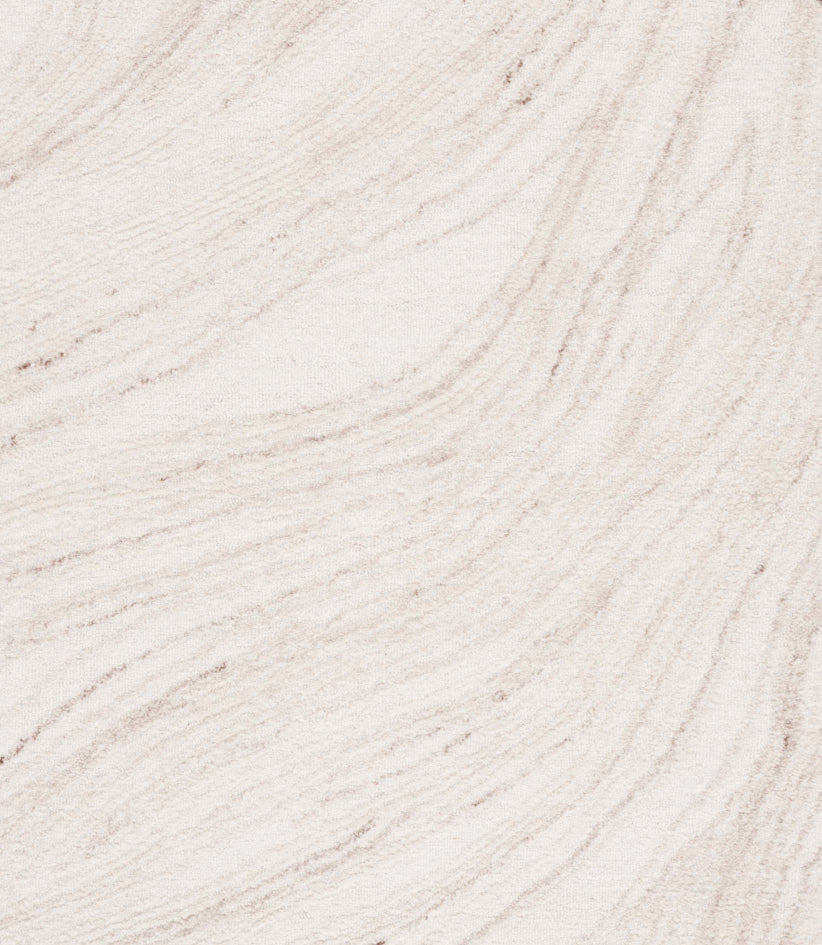 Safavieh Ebony EBN551A Ivory / Beige Area Rug main image