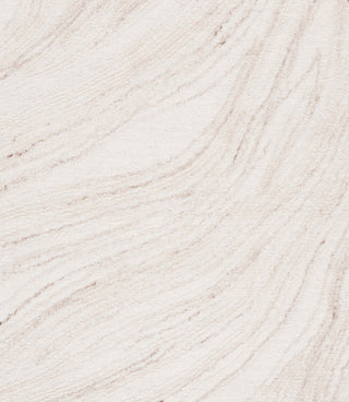 Safavieh Ebony EBN551A Ivory / Beige Area Rug main image