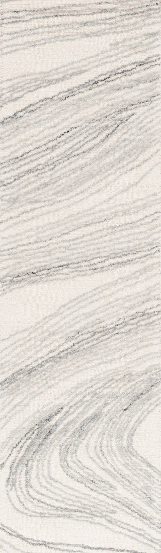 Safavieh Ebony EBN551F Ivory / Grey Area Rug Runner