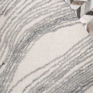 Safavieh Ebony EBN551F Ivory / Grey Area Rug Detail