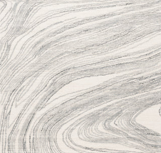 Safavieh Ebony EBN551F Ivory / Grey Area Rug Square