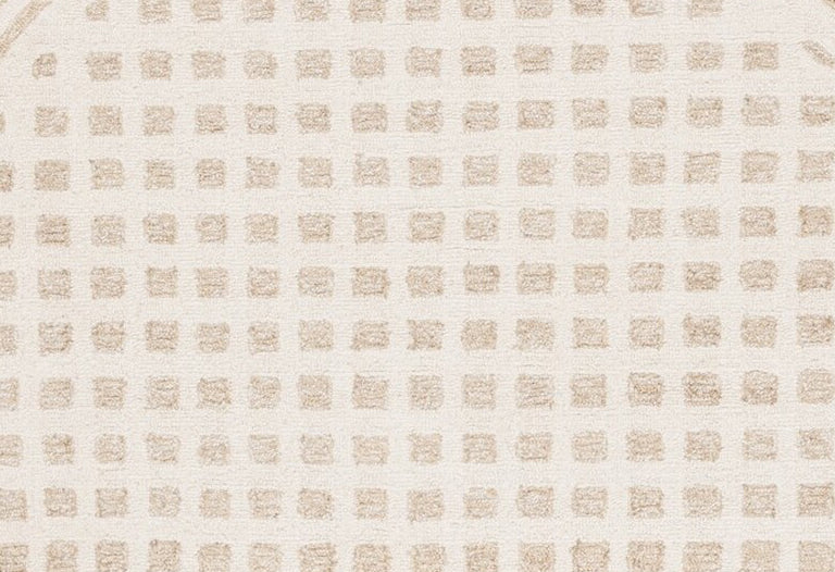 Safavieh Ebony EBN604A Ivory / Beige Area Rug main image