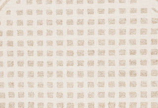 Safavieh Ebony EBN604A Ivory / Beige Area Rug main image