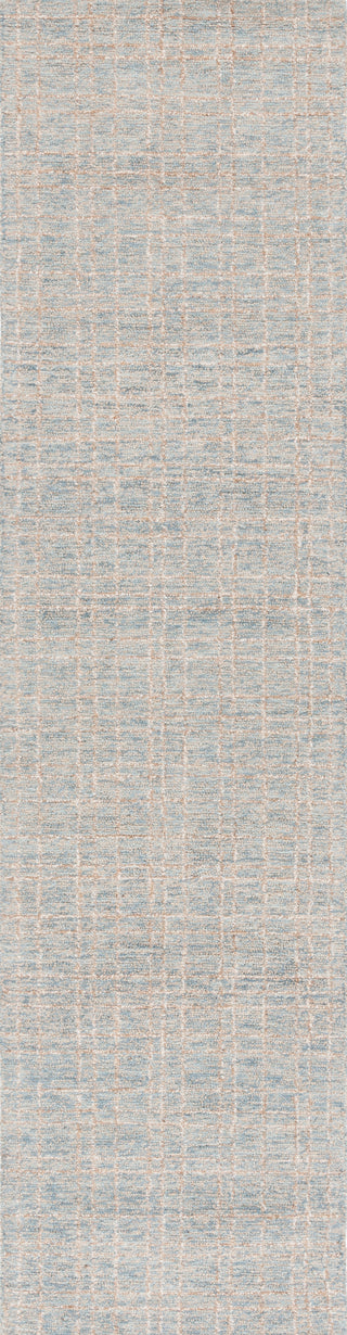 Safavieh Ebony EBN605M Blue / Beige Area Rug Runner