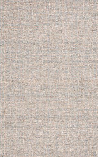 Safavieh Ebony EBN605M Blue / Beige Area Rug Main