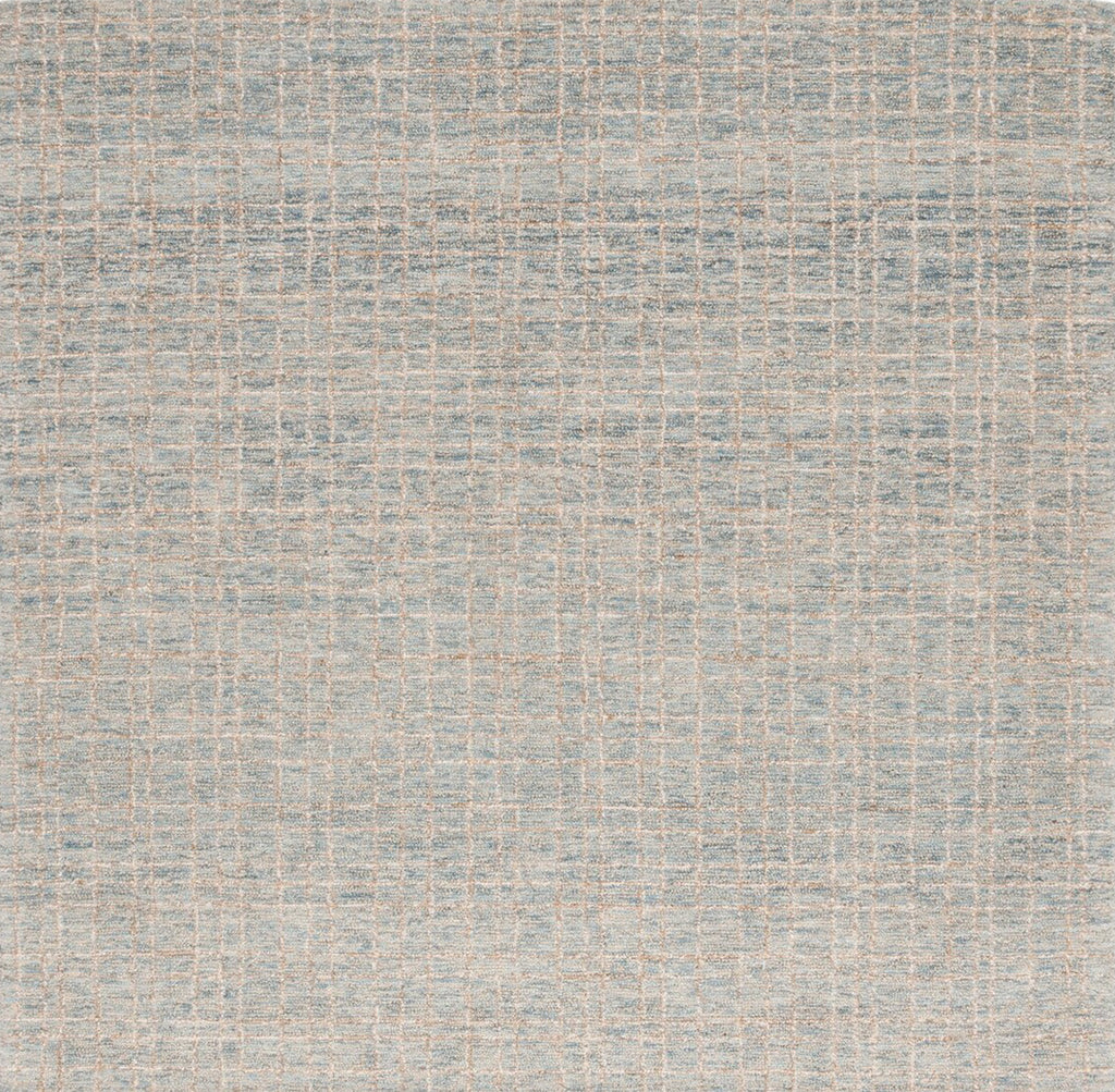 Safavieh Ebony EBN605M Blue / Beige Area Rug main image
