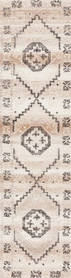 Safavieh Ebony EBN608D Gold / Beige Area Rug Runner