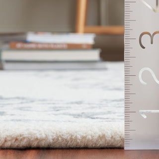 Safavieh Ebony EBN650A Ivory / Grey Area Rug Detail