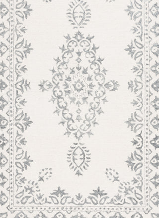Safavieh Ebony EBN650A Ivory / Grey Area Rug Main