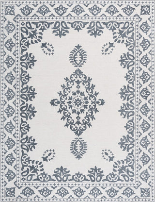 Safavieh Ebony EBN650A Ivory / Grey Area Rug main image