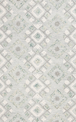 Safavieh Ebony EBN653A Ivory / Grey Area Rug Main