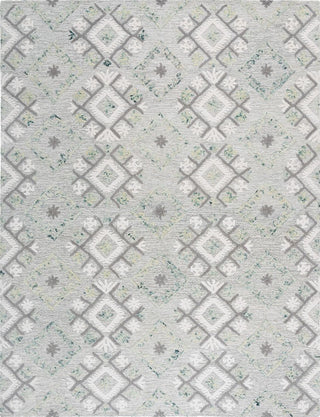 Safavieh Ebony EBN653A Ivory / Grey Area Rug main image