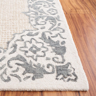 Safavieh Ebony EBN654A Ivory / Grey Area Rug Detail