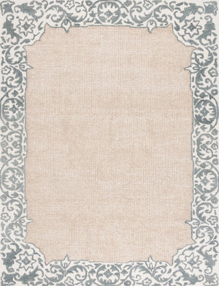 Safavieh Ebony EBN654A Ivory / Grey Area Rug main image