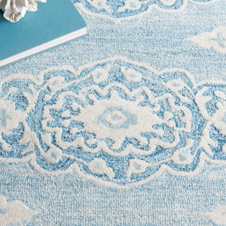 Safavieh Ebony EBN655M Ivory / Light Blue Area Rug Detail
