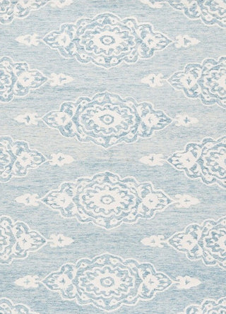 Safavieh Ebony EBN655M Ivory / Light Blue Area Rug main image