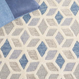 Safavieh Ebony EBN656A Ivory / Blue Area Rug Detail